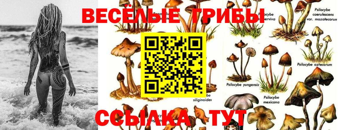 Шахты  Галлюциногенные грибы прущие грибы  Псилоцибиновые грибы Psilocybine cubensis  Вход с VPN 